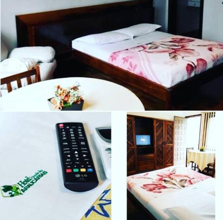 Hotel Pousada Das Araucarias Rio Negrinho Extérieur photo