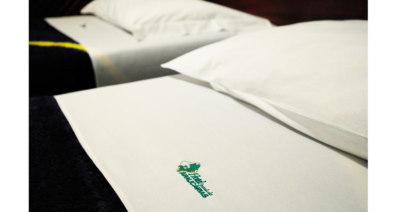 Hotel Pousada Das Araucarias Rio Negrinho Chambre photo